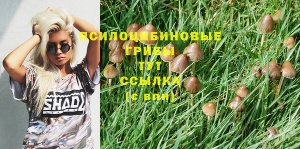 PSILOCYBIN Магас