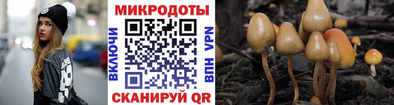 Галлюциногенные грибы Cubensis  Ленск 
